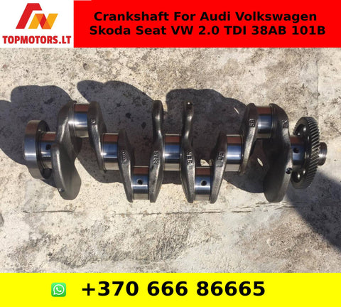 Crankshaft For Audi Volkswagen Skoda Seat VW 2.0 TDI 38AB 101B