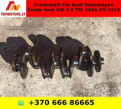 Crankshaft For Audi Volkswagen Skoda  Seat VW 2.0 TDI 38AA 03L101B