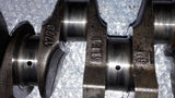 ENGINE CRANKSHAFT GM 1770 ISUZU 2.2 DIESEL 4LE1 4LE CASE 45NX Fiat Hitachi Kobelco 	EX 50-U Hitachi 	EX40U EX50U EX55 ZAX55 JCB 8040 8045 8050 8060 Magnum 	MTT20 MTT25 MLG20 MLG25 MLT4200 MLT4250 MLT5200 MLT5250I MMG25FHI MMG25FHI