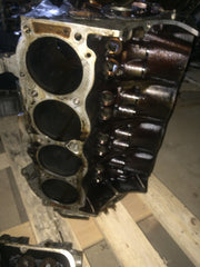 1999 LAND ROVER 4.0 V8 BENZINAS VARIKLIO BLOKAS
